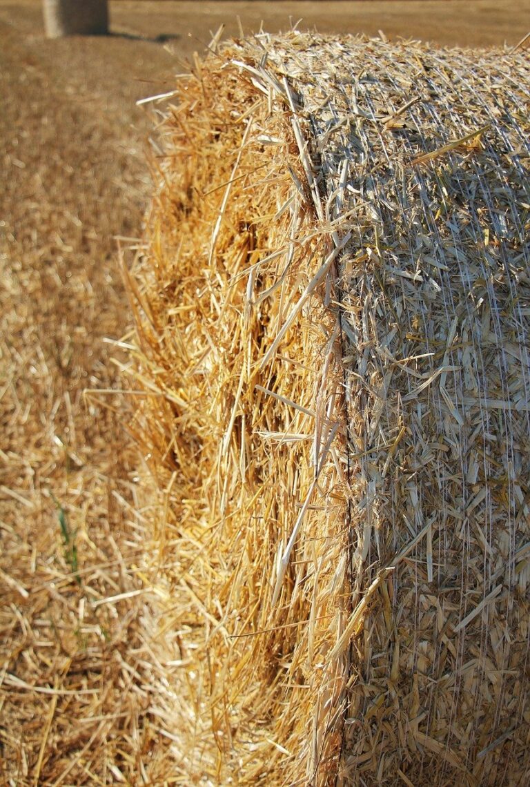 straw role, harvest, straw-1529016.jpg